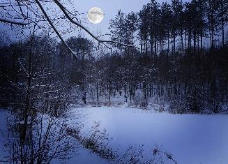 snow on pond