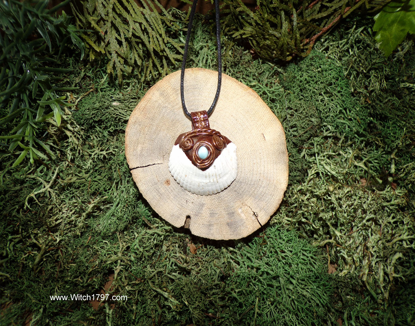 seashell_with_larimar36