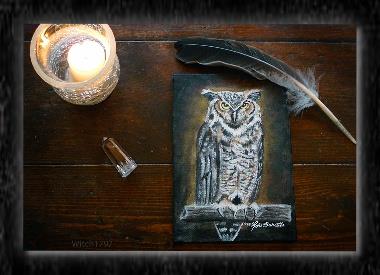 great horned owl 5x7 print